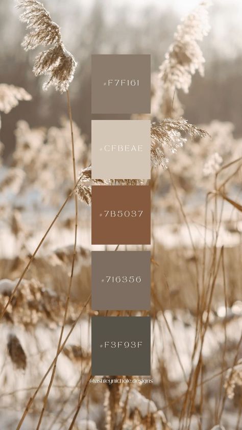 Earth Tones Palette Bedroom Ideas, Colour Palette Neutral Earth Tones, Color Pallets Earth Tones, Green Brown Color Palette Earth Tones, Brand Color Palette Earth Tones, Muted Natural Color Palette, Neutral Bathroom Decor Ideas Earth Tones, Earth Tones Color Scheme, Colour Palette Brown Earth Tones