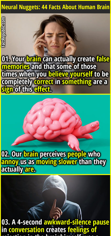 01. Your brain can actually create false memories and that some of those times when you believe yourself to be completely correct in something are a sign of this effect. Human Brain Facts, False Memories, Believe Yourself, Facts About Humans, Brain Facts, Curious Facts, Trivia Facts, Brain Science, When You Believe
