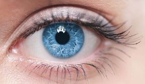 Countries With the Most Blue Eyed People - WorldAtlas.com Blue Eyes Aesthetic, People With Blue Eyes, Mata Biru, Image Bleu, Change Your Eye Color, Blue Eye Color, Soya Mumu, Light Blue Eyes, Eye Close Up