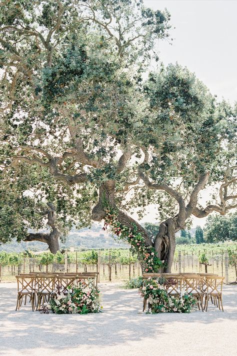 An intimate, romantic elopement at Sunstone Villa in the vineyard under the oak tree. Elope in style at one of our beautiful wedding venues. Santa Barbara Elopement offers luxury planning, coordinating and design for intimate weddings, elopements and gatherings in California. Oak Tree Ceremony, Stephanie Cole, Santa Barbara Elopement, Sunstone Villa, Oak Tree Wedding, Romantic Elopement, Tuscan Inspired, Indoor Ceremony, Santa Barbara Wedding