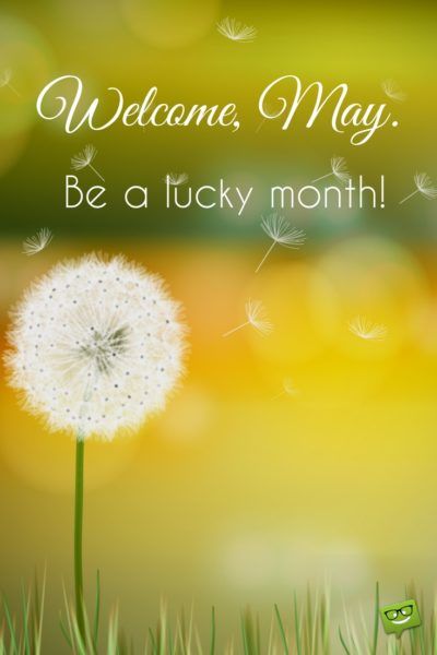 Welcome, May. Be a lucky month. Welcome Month Of May Quotes, Welcome May Image, Welcome May Quotes Month, Hello May Month Quotes, Welcome May Month, May 1 Quotes, Hello May Month, May Month Quotes, Hello May Quotes