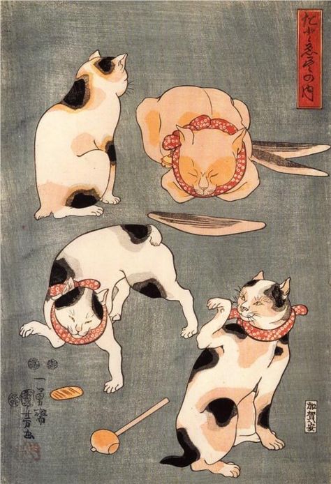 En Japón los han amado durante siglos | 21 razones por las que los gatos calicó son los mejores gatos Asian Inspiration, Japanese Cat, Traditional Japanese Art, Japanese Illustration, Lots Of Cats, 2d Art, Japanese Tattoo, Asian Art, Japanese Traditional