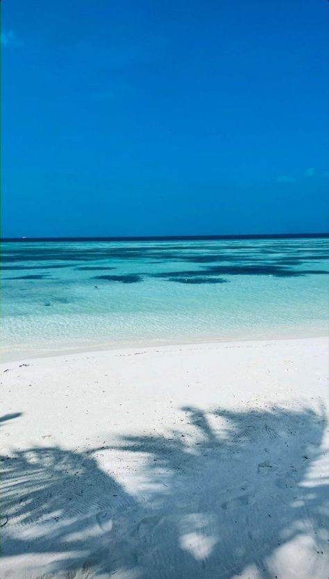 🌴 AQUA DREAMS on TROPICAL DREAMS (Pinterest & Instagram) #tropicaldreamsonpinterest #tropicaldreams #beautifulbluewater #aquadreams #islandbluewater #icebluewater #aquabluewaters #beach #travel #summer #paradise #aquablue #ocean #caribbean #bluewaterparadise #caribbeanisland #beautiful #island #travelphotography #blueocean #saltlife #instagood #bikini #whitesands #caribbean #islandparadise #caribbeanbluewater #islandparadise🌴 #saltyliving #saltylife #livesalty #saltliving #livingsalt #dailysal Summer Pictures, Blue Sky Aesthetic, Image Bleu, Ocean Wallpaper, Paradise On Earth, Summer Dream, Beach Aesthetic, Pretty Places, Sky Aesthetic