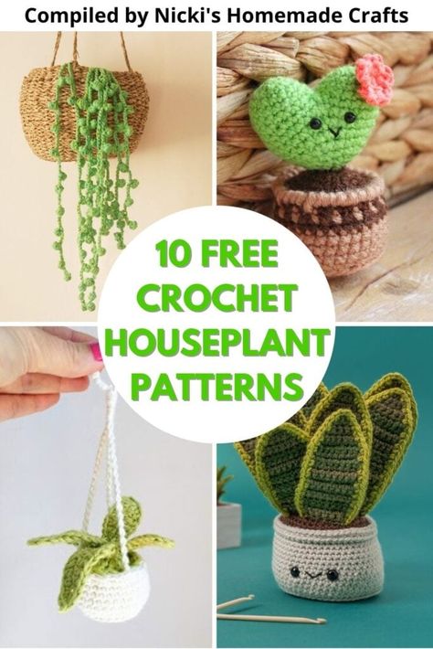 Crochet Patterns Hanging Plant, Crochet Patterns Succulents, Potted Crochet Plants, Hanging Plants Crochet Pattern Free, Crochet Plant Mirror Hanger, Mini Crochet Plants Free Pattern, Crochet Decoration Free Pattern, Diy Crochet Plants, Crochet Succulent Keychain