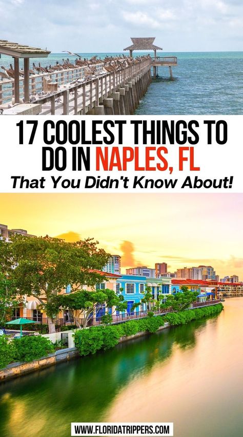 17 Coolest Things To Do In Naples, FL That You Didn't Know About! Naples Pier Florida, Old Naples Florida, Things To Do Naples Florida, Naples Florida With Kids, Must See Places In Florida, Tin City Naples Florida, What To Do In Naples Florida, Southern Florida Things To Do, Downtown Naples Florida