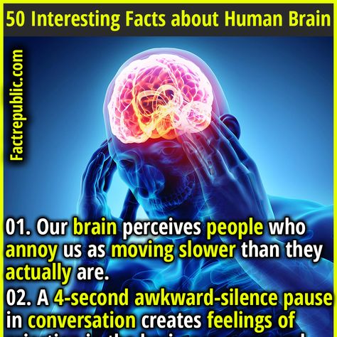 50 Interesting Facts about Human Brain - Fact Republic Music Facts Interesting, Interesting Facts About Human Psychology, Human Psychology Facts So True, Biology Knowledge, Human Brain Facts, Human Facts, Neurofeedback Therapy, Interesting Facts About Humans, Interesting Health Facts