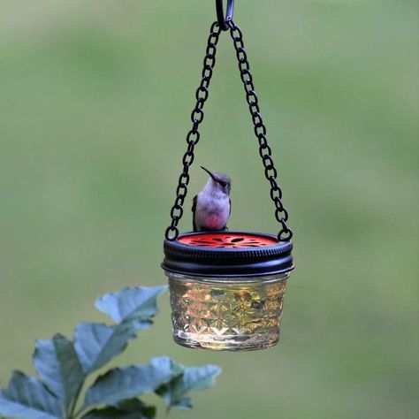 DIY hummingbird mason jelly jar feeder Homemade Hummingbird Feeder, Diy Hummingbird Feeder, Hummingbird Food, Jardim Diy, Homemade Bird Feeders, Hummingbird Garden, Diy Bird Feeder, Hummingbird Feeder, Diy Birds