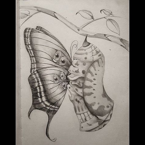 pencildrawing,eye,artwork,inspiration,darkart,creative,growth,surrealism,graphic,art🎨,drawing,artsy,veter… | Butterfly art drawing, Eyes artwork, Metamorphosis art Cacoon Art, Butterfly Growth Tattoo, Butterfly Metamorphosis Tattoo, Growth Artwork, Graphic Art Drawing, Metamorphosis Tattoo, Butterfly Pupa, Sketch Eye, Surrealism Artwork