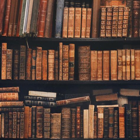 Just look at these beautiful shelves with antiquarian books... I've found them in one little bookstore💛 Kampot, Bookshelf Aesthetic Wallpaper, Vintage Bookshelf Aesthetic, Beautiful Shelves, Library Garden, Bookshelf Aesthetic, Book Shops, Vintage Bookshelf, Book Wallpaper