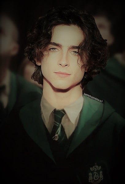 Regulus Acturus Black, Dr World, Welcome To Hogwarts, Harry Potter Stories, Harry Potter Ravenclaw, Fred Weasley, Harry Potter Headcannons, Regulus Black, Slytherin Aesthetic