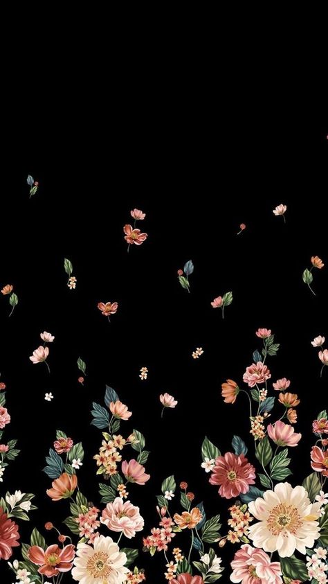 Phone Wallpaper Floral, Iphone Background Vintage, Black Flowers Wallpaper, Wallpaper Iphone Backgrounds, Black Floral Wallpaper, Whatsapp Background, Flowers Black Background, Pink Floral Wallpaper, Pink Flowers Background