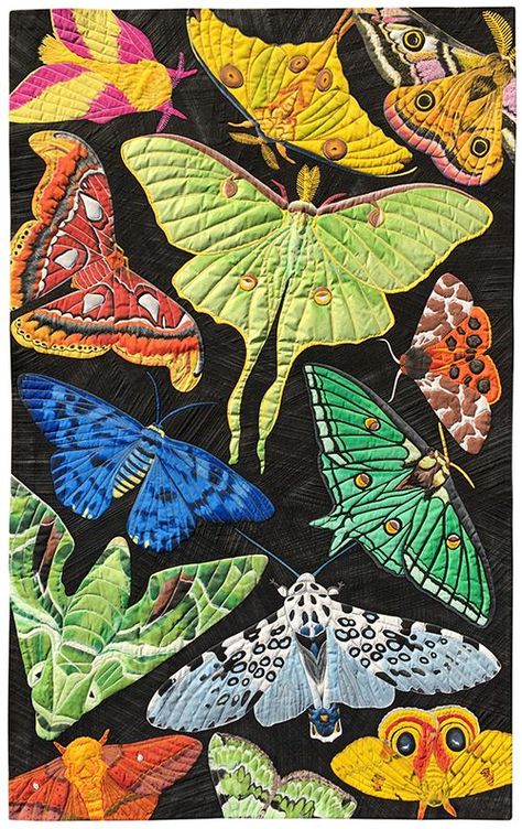 Giant Leopard Moth, Io Moth, Leopard Moth, Emperor Moth, Rosy Maple Moth, Moth Species, International Quilt Festival, Tiger Moth, Moon Moth