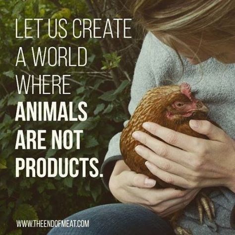 Animal Cruelty Quotes, Vegan Sign, Animal Activism, Animal Activist, Vegan Quotes, Why Vegan, Animal Liberation, Vegan Inspiration, Stop Animal Cruelty