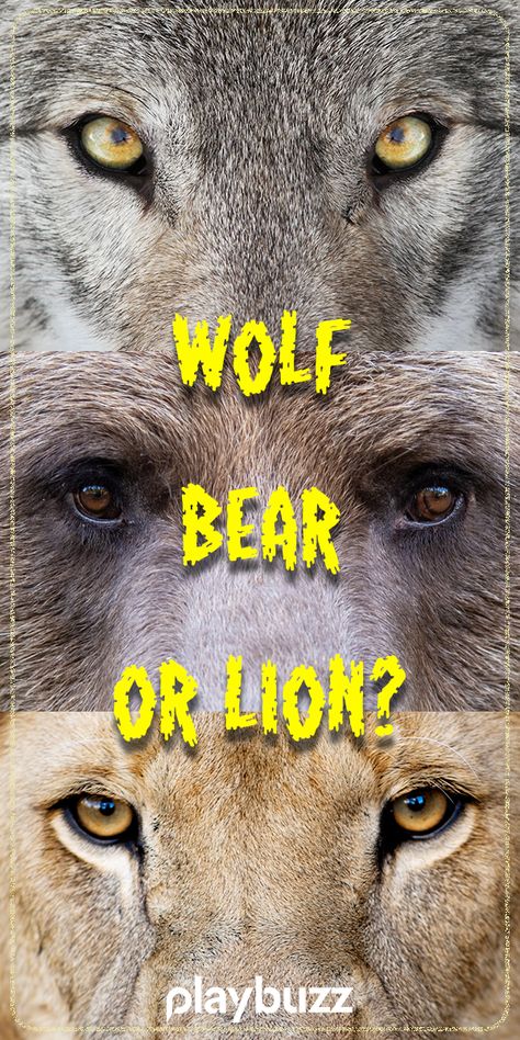 The Tigers Apprentice, Wolf Shifter Art, Kovu Lion King Human, What Is Your Spirit Animal Quiz, Which Animal Are You, What Animal Am I Quiz, How To Draw A Wolf, Wolf Spirit Animal Art, Lion And Human