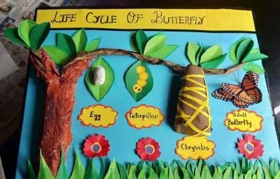 Butterfly Life Cycle Preschool, Life Cycles Preschool, Butterfly Life Cycle Activity, Butterfly Lessons, Hungry Caterpillar Craft, Life Cycle Of A Butterfly, Cycle Of A Butterfly, Life Cycle Craft, School Science Projects