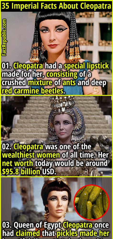 35 Imperial Facts About Cleopatra VII, The Last True Pharaoh - Fact Republic Facts About Cleopatra, Queen Cleopatra Aesthetic, Cleopatra Quotes, Cleopatra Facts, Mark Antony And Cleopatra, Holistic Ali, Black Cleopatra, Cleopatra History, Cleopatra Art