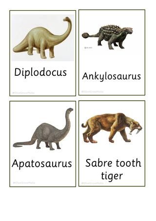 Dinosaur Names And Pictures, Dinosaurs Names And Pictures, Names Of Dinosaurs, Dinosaur Names, Dinosaur Theme Preschool, Dinosaur Activities Preschool, Dinosaur Name, Dinosaur Projects, Dinosaur Facts