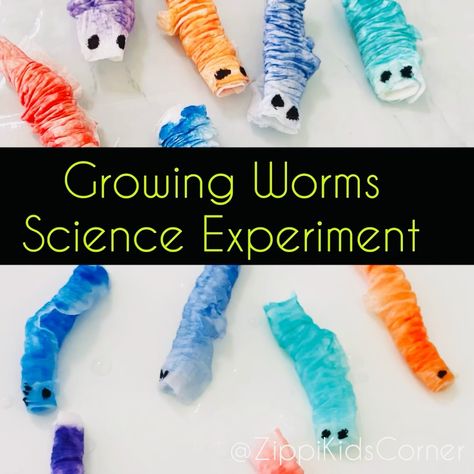 Insect Art For Preschoolers, Worm Theme Preschool, Worms Activity Preschool, Worm Art Preschool, Prek Insect Activities, Worm Craft Preschool, Worm Crafts Preschool, Hedgehog Activities, Growing Worms