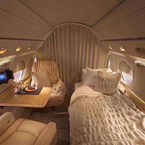 Small Private Jets, Interior Design Luxury Modern, Private Jet Travel, Private Jet Interior, Luxury Jets, Luxury Private Jets, Private Plane, Billionaire Lifestyle, Private Jet