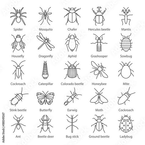 Stock Image: Insects linear icons set Woodlice, Insect Line Art, Doodle Insects, Bug Doodles, Bugs Drawing, Stick Poke Tattoo, Stick Insect, Bug Tattoo, Insect Tattoo