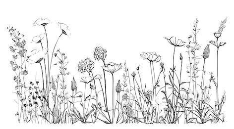 Line Drawing Of Flowers, Flower Feild, A Line Drawing, Wildflower Drawing, Garden Tattoos, Prairie Flower, Wildflower Tattoo, Flower Line Drawings, Landscape Tattoo