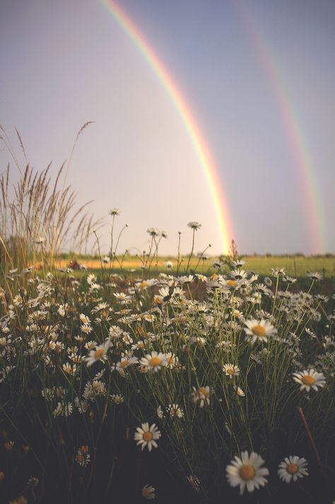 Blue Aesthetic, Rainbow, Blue