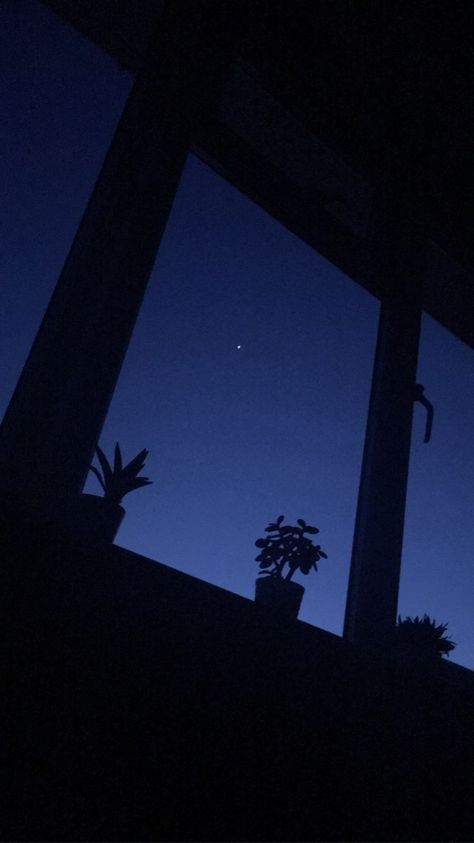 #window #night #star #venus #plant #silhouette #background #blue Window Sky Aesthetic, Silhouette Wallpaper Aesthetic, Stars Pics Night Skies, Window At Night Aesthetic, Blue Window Aesthetic, Night Sky From Window, Window Night View Aesthetic, Blue Night Sky Aesthetic, Night Star Aesthetic