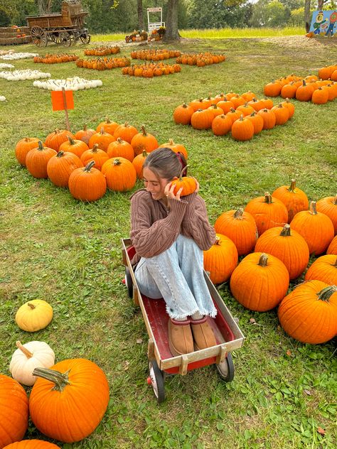 Pumkin Patch Pictures, Fall Pumpkin Pictures, Pumpkin Patch Fits, Fall Pic Ideas, Fall Outfits Pumpkin Patch, Preppy Fall Aesthetic, Fall Scarf Outfit, Pumpkin Patch Photo Ideas, Fall Pictures With Pumpkins