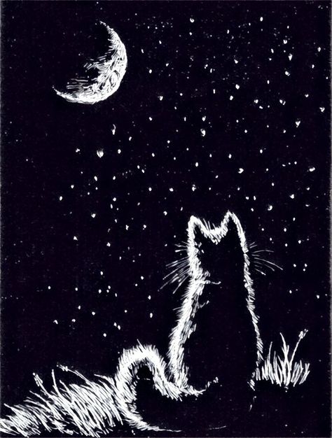 Lunaticat Things To Draw On Black Paper, Black Paper Drawing Simple, Scratchboard Art, Black Paper Drawing, 강아지 그림, Scratch Art, Black Cat Art, Seni 3d, Cats Illustration