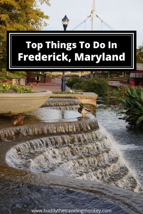 With a great fusion of new and old, there are plenty of fun things to do in Frederick, Maryland. In this post, see why Frederick is perfect for a weekend getaway in Maryland.     #Frederick #Maryland #travel Maryland Day Trips, Maryland Travel, Usa Trips, Frederick Maryland, Washington Dc Travel, Dc Travel, Michigan Travel, Us Travel Destinations, Destinations Travel