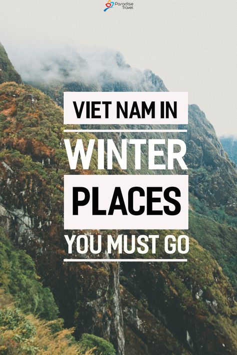 Hoi An, Da Nang, Vietnam Voyage, Paradise Travel, Winter Images, Travel Bugs, Vietnam Travel, Winter Travel, Best Places To Visit