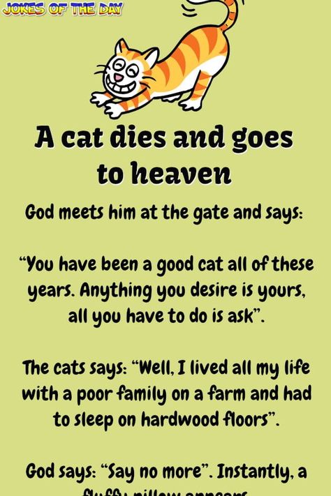 Humour, Family On A Farm, Cat Dies, New Year Jokes, Kueez Celebrity, Kueez Amazing, Funny Cat Jokes, Kueez Pins, Cat Yawning