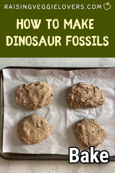 Diy Paleontologist Kit, Dinosaur Fossil Activity, Dinosaur Fossil Activity For Kids, Preschool Fossil Activities, How To Make Fossils, Dinosaur Bones Diy, Diy Dinosaur Fossils, Herbavor Dinosaurs, Diy Fossils For Kids