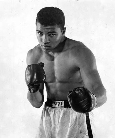 Muhammed Ali Wallpaper 4k, Mahamid Ali, Muhhamad Ali, Boxing Legends, Muhammad Ali Boxing, Muhammad Ali Quotes, Mohammad Ali, Cassius Clay, محمد علي