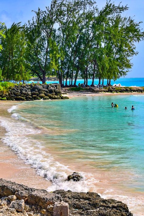 Blue Ocean Aesthetic, Swim With Turtles, Carribean Beach, Caribbean Summer, Carribean Islands, Barbados Vacation, Barbados Beaches, Bridgetown Barbados, Barbados Travel
