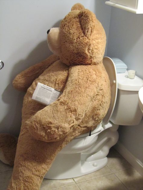 Big Hunka Love Bear on the toilet. Get Well Gift Ideas, Big Plushies, Bears Stuffed Animals, Funny Teddy Bear, Dont Feed The Bears, Giant Stuffed Animals, Bear Gif, Giant Teddy Bear, Teddy Bear Gifts