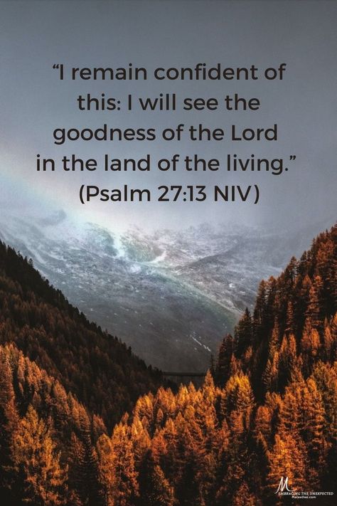 Psalm 27 13, Psalms Quotes, Psalm 13, Write The Vision, The Goodness Of God, Goodness Of God, Psalm 27, Amazing Inspirational Quotes, Beautiful Bible Verses