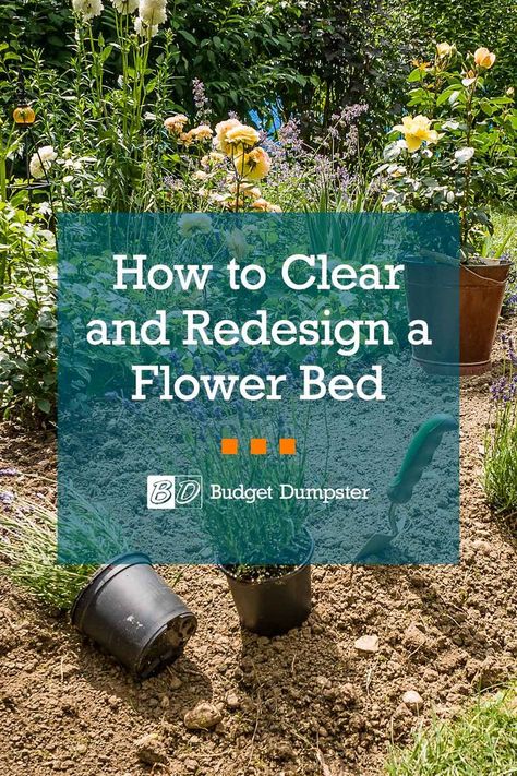 Flowerbed Ideas Backyard, Borderless Flower Beds, Decorative Flower Bed Ideas, Overgrown Flowers Aesthetic, Flower Bed Before And After, How To Make A New Flower Bed, Large Flowerbed Landscaping, Houston Flower Bed Ideas, Flower Bed Makeover On A Budget