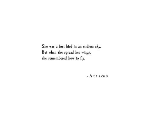 Lost birds. #dreams #are #found #love #atticuspoetry Cute Bird Quotes, Birds Love Quotes, Quotes About Birds Inspirational, Songbird Quotes, Birds Quotes Inspirational, Quotes On Birds, Bird Quotes Inspirational Short, Quotes About Birds, Atticus Finch Quotes