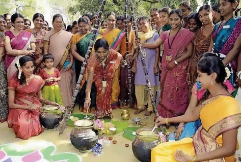 Giving Thanks Around The World: Celebrating a great harvest around the globe.  Up with People - Travel with a purpose Thanksgiving Around The World, Thai Pongal, Tamil Greetings, Pongal Festival, Festival Face Paint, Happy Pongal, Festival Face, Happy Makar Sankranti, Traditional Attires
