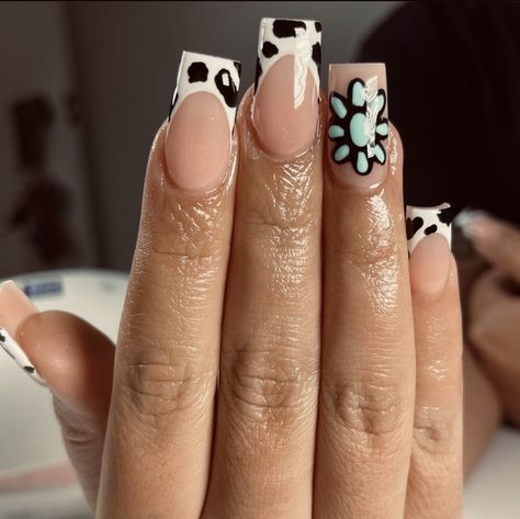 Cowprint Nails Long, Cow Print Nails With Turquoise, Punchy Cowgirl Nails, Short Punchy Nails, Western Nails French Tip, Cute Turquoise Nails, Turquoise Cow Print Nails, Western Nails Turquoise, Vaquera Nails