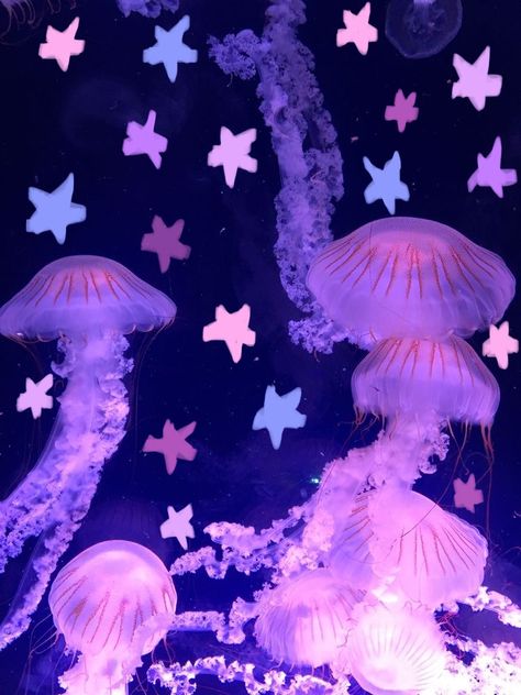 Jellyfish Playlist Cover, Colorful Jellyfish Wallpaper, Jelly Fish Laptop Wallpaper, Jellyfish And Stars, Cute Fish Aesthetic, Cool Marine Animals, Jellyfish Pfp Aesthetic, Jellyfish Aesthetic Room, Pink Meanie Jellyfish
