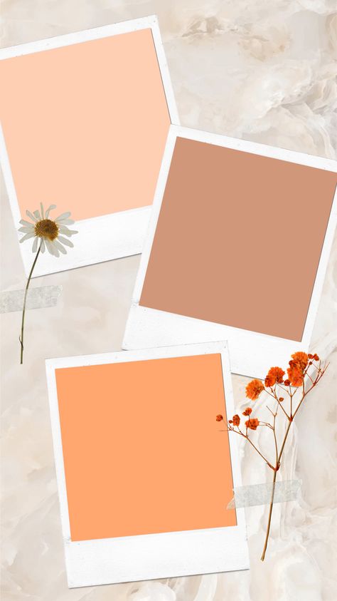 Polaroid and flower IG story background. Add some fun to your text-based instagram stories with this template! Pin to save for later :) Phone Backgrounds, Ig Story Background, Story Background, Save For Later, Ig Story, Instagram Stories, Some Fun, Instagram Story, Phone Wallpaper