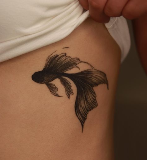 Betta Fish Tattoo, Betta fish tattoo design, women's Betta fish tattoo, Betta fish tattoo designs, simple Betta fish tattoo, watercolor betta fish tattoo, Betta fish tattoo small, black Betta fish tattoo, small Betta fish tattoo, realistic betta fish tattoo, betta fish tattoo simple, betta fish tattoo drawing, betta fish tattoo ideas, red betta fish tattoo, geometric betta fish tattoo, Betta fish tattoo traditional,Female betta fish Tattoo,Betta fish tattoo outline,Siamese fighting fish Tattoo Fish Tattoo Drawing, Black Betta Fish, Fish Tattoo Traditional, Fish Tattoo Simple, Betta Fish Tattoo, Fish Tattoo Design, Female Betta, Tattoo Watercolor, Theme Tattoo