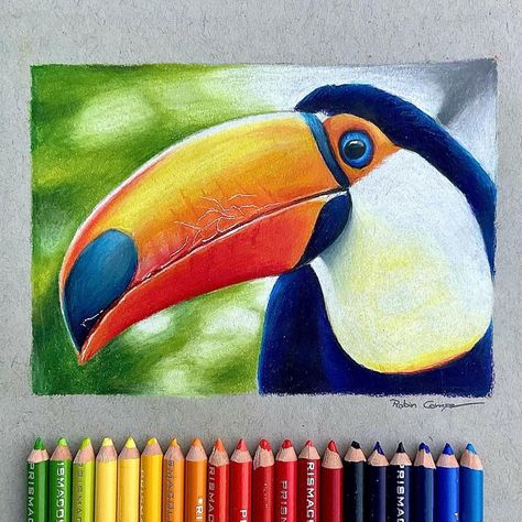 Drawings Using Colored Pencils, Realistic Animal Colored Pencil Drawings, Color Pencil Drawings Ideas, Best Pencil Colour Drawings, Pencil Colors Art Drawings, Art Ideas With Colored Pencils, Realistic Easy Painting, Colour Drawings Pencil, Color Drawing Art Ideas