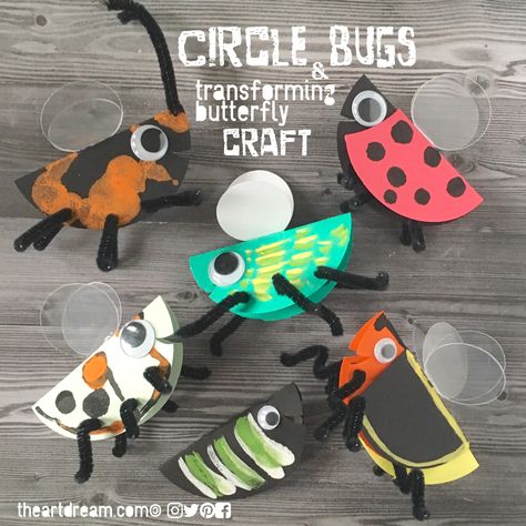 Use simple circles to make these bugs, including this transforming caterpillar to a butterfly version! Kids will love flipping the caterpillar over to reveal its beautiful butterfly wings. Ladybug Preschool Craft, Insects Crafts For Kids, Insects Crafts, Bug Craft, Learning Express, Insects Preschool, Bugs Preschool, Butterfly Craft, Insect Crafts