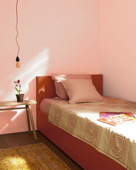 A vibrant mixture of pink and coral, this pastel hue is full of quaint charm. Colour Trends 2024, Coral Paint Colors, Soothing Bedroom, Benjamin Moore Paints, Exterior Stain, Trending Paint Colors, Touch Of Gray, Colour Trends, Benjamin Moore Colors