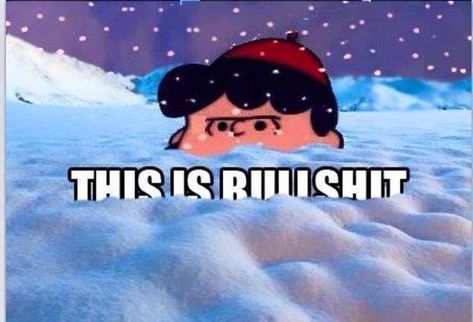 40 Hilarious Winter and Snow Memes for When You're Freezing Your Face Off   #funnypics #funnypictures #wintermemes #snowmemes #lol Snoopy, Humour, Pie, Snow Quotes Funny, Snow Meme, Cold Weather Funny, Winter Humor, Snow Quotes, Peanuts Quotes