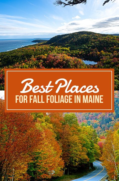 The best time to see fall foliage in Maine is between the last week of September and the beginning of October, when the leaves start to change their colors. It progresses from North to South, so the coastal and southern parts get their foliage a little bit later, mid-to-end of October. We’ve collected the very best places for foliage in Maine for you to enjoy this marvel of nature fully. Maine In The Fall Road Trips, Fall Maine Trip, Portland Maine In October, Maine Fall Foliage Road Trips, Visiting Maine In The Fall, Portland Maine October, Trip To Maine In The Fall, Portland Maine In The Fall, Maine Fall Vacation