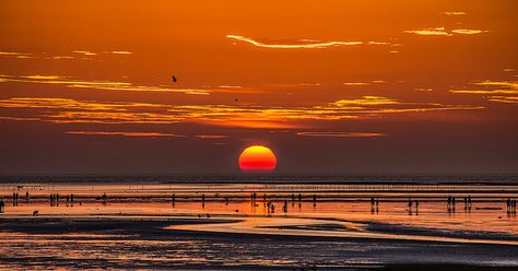 Sunset Aesthetic Cover Photo, Sunset Wallpaper Landscape, Sunset Cover Photo, Sunset Landscape Aesthetic, Gaomei Wetlands, Sunset Wallpaper Desktop, Sunset Aesthetic Landscape, Sunset Landscape Wallpaper, Sunset Desktop Wallpaper